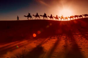 شروط تجنيس البدون في السعودية