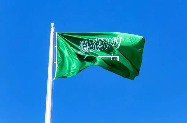 تجنيس السعوديه
