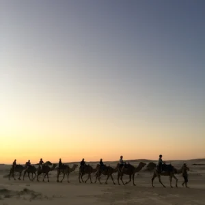شروط تجنيس البدون في السعودية