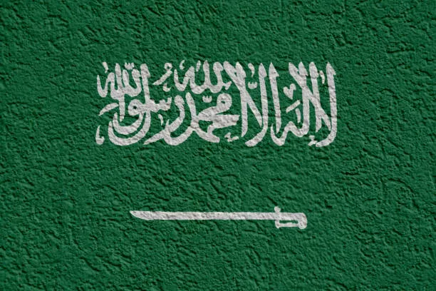 التجنيس السعودية