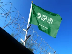 تجنيس زوجة المواطن