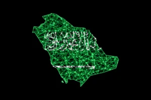 وزارة الداخلية السعودية قسم التجنيس