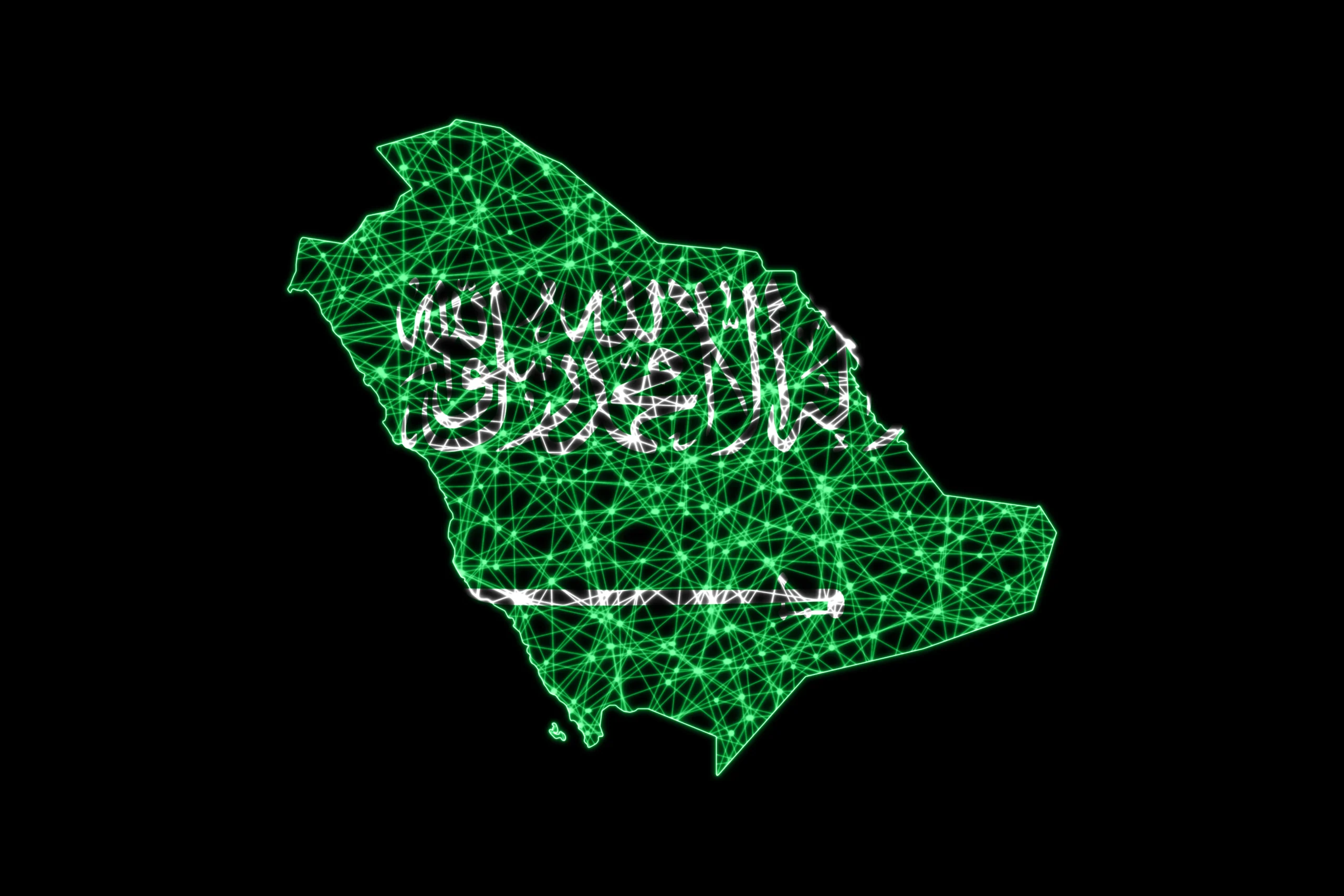 وزارة الداخلية السعودية قسم التجنيس